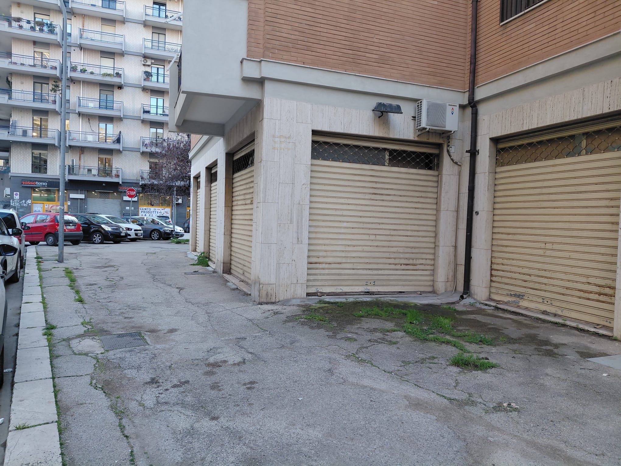 WhatsApp Image 2026-03-10 at 10.28.05